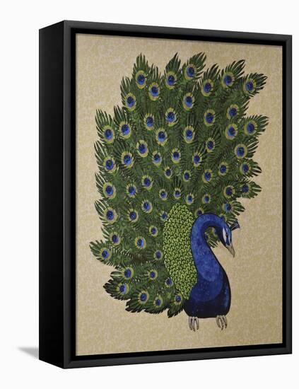 Peacock Stitched-Kestrel Michaud-Framed Stretched Canvas