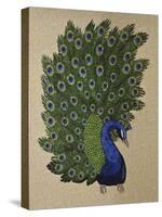 Peacock Stitched-Kestrel Michaud-Stretched Canvas