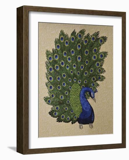 Peacock Stitched-Kestrel Michaud-Framed Giclee Print