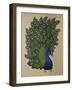 Peacock Stitched-Kestrel Michaud-Framed Giclee Print