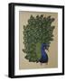 Peacock Stitched-Kestrel Michaud-Framed Giclee Print