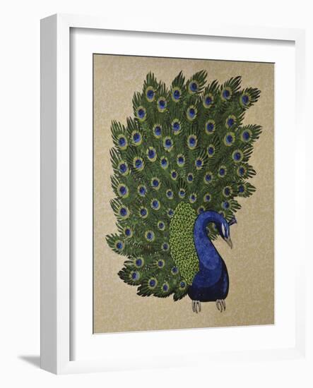 Peacock Stitched-Kestrel Michaud-Framed Giclee Print