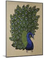 Peacock Stitched-Kestrel Michaud-Mounted Giclee Print