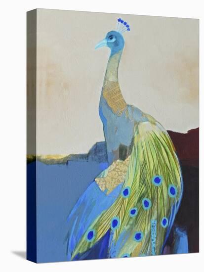 Peacock Transition II-Larry Foregard-Stretched Canvas