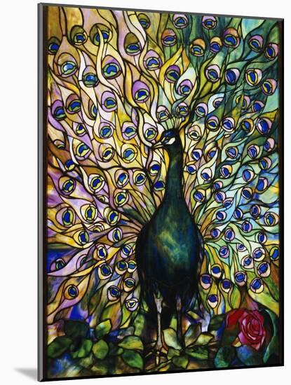 Peacock-American School-Mounted Giclee Print