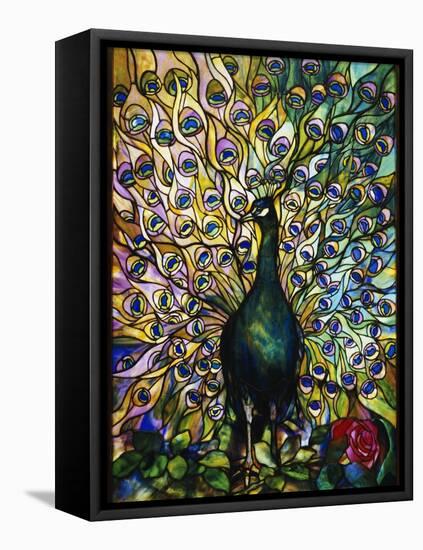 Peacock-American School-Framed Stretched Canvas