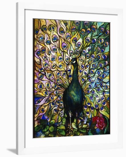 Peacock-American School-Framed Giclee Print