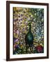 Peacock-American School-Framed Giclee Print