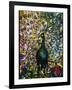 Peacock-American School-Framed Giclee Print