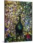 Peacock-American School-Mounted Giclee Print