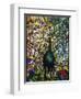 Peacock-American School-Framed Giclee Print