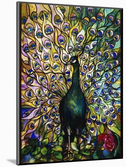 Peacock-American School-Mounted Premium Giclee Print