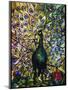 Peacock-American School-Mounted Premium Giclee Print