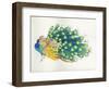 Peacock-Haruyo Morita-Framed Art Print