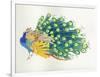 Peacock-Haruyo Morita-Framed Art Print
