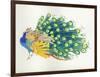 Peacock-Haruyo Morita-Framed Art Print