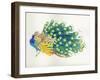 Peacock-Haruyo Morita-Framed Art Print