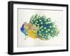 Peacock-Haruyo Morita-Framed Art Print