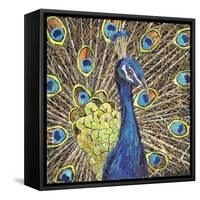 Peacock-Kirstie Adamson-Framed Stretched Canvas