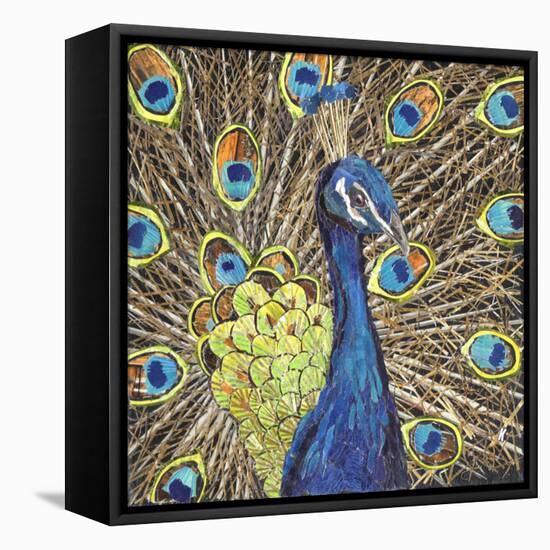 Peacock-Kirstie Adamson-Framed Stretched Canvas