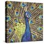 Peacock-Kirstie Adamson-Stretched Canvas