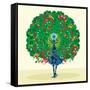 Peacock-Teofilo Olivieri-Framed Stretched Canvas