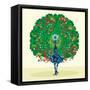 Peacock-Teofilo Olivieri-Framed Stretched Canvas