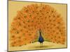 Peacock-null-Mounted Giclee Print