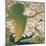 Peacocks and Cherry Tree, c.1925-Japanese School-Mounted Giclee Print