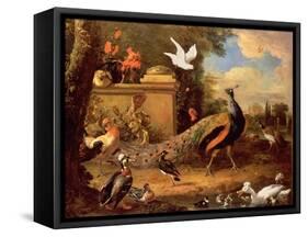 Peacocks and Other Birds by a Lake-Melchior de Hondecoeter-Framed Stretched Canvas