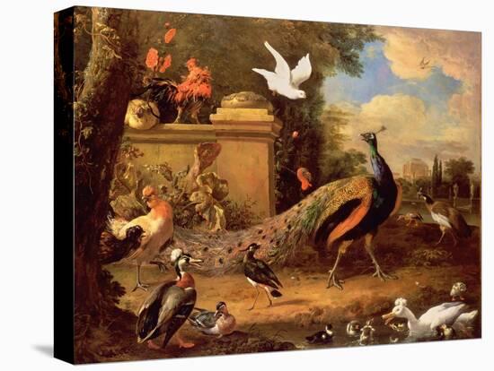 Peacocks and Other Birds by a Lake-Melchior de Hondecoeter-Stretched Canvas