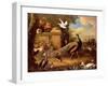 Peacocks and Other Birds by a Lake-Melchior de Hondecoeter-Framed Giclee Print