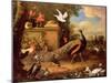 Peacocks and Other Birds by a Lake-Melchior de Hondecoeter-Mounted Giclee Print
