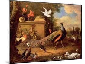 Peacocks and Other Birds by a Lake-Melchior de Hondecoeter-Mounted Giclee Print