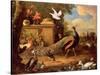 Peacocks and Other Birds by a Lake-Melchior de Hondecoeter-Stretched Canvas