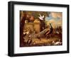 Peacocks and Other Birds by a Lake-Melchior de Hondecoeter-Framed Giclee Print