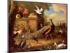 Peacocks and Other Birds by a Lake-Melchior de Hondecoeter-Mounted Giclee Print
