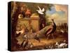 Peacocks and Other Birds by a Lake-Melchior de Hondecoeter-Stretched Canvas