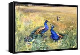 Peacocks in a Field-Mildred Anne Butler-Framed Stretched Canvas