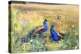 Peacocks in a Field-Mildred Anne Butler-Stretched Canvas