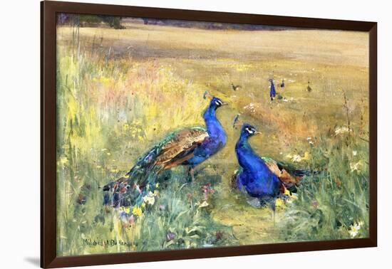 Peacocks in a Field-Mildred Anne Butler-Framed Giclee Print