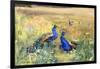 Peacocks in a Field-Mildred Anne Butler-Framed Giclee Print