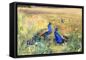 Peacocks in a Field-Mildred Anne Butler-Framed Stretched Canvas