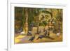 Peacocks, St. Petersburg, Florida-null-Framed Premium Giclee Print