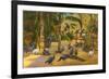 Peacocks, St. Petersburg, Florida-null-Framed Premium Giclee Print