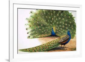 Peacocks-R. B. Davis-Framed Giclee Print