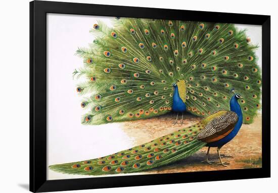 Peacocks-R. B. Davis-Framed Giclee Print