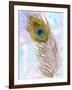 Peacocl Feather 2-Beverly Dyer-Framed Art Print