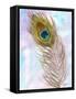 Peacocl Feather 2-Beverly Dyer-Framed Stretched Canvas