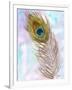 Peacocl Feather 2-Beverly Dyer-Framed Art Print